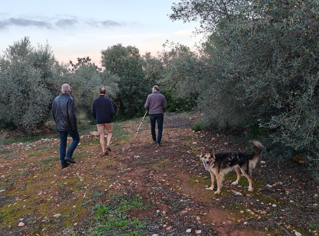 Drie mensen en een hond wandelen in een boomgaard bij schemering.