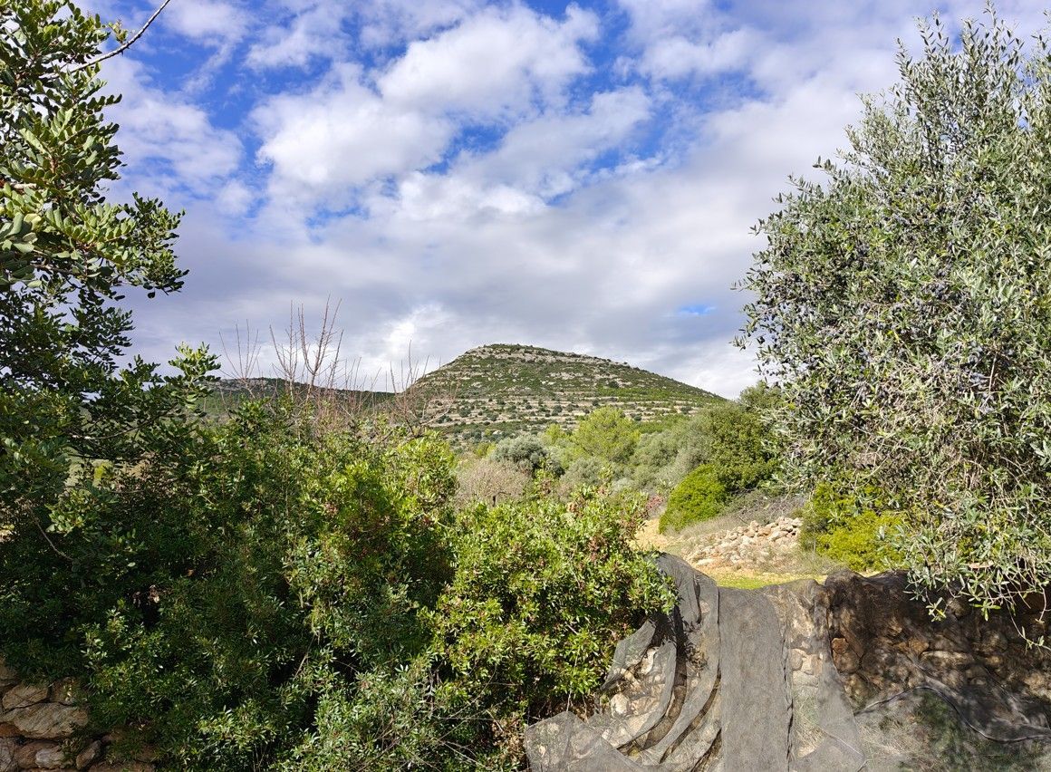 Groen gebladerte omlijst een zandpad dat onder een bewolkte hemel naar een heuvel leidt.
