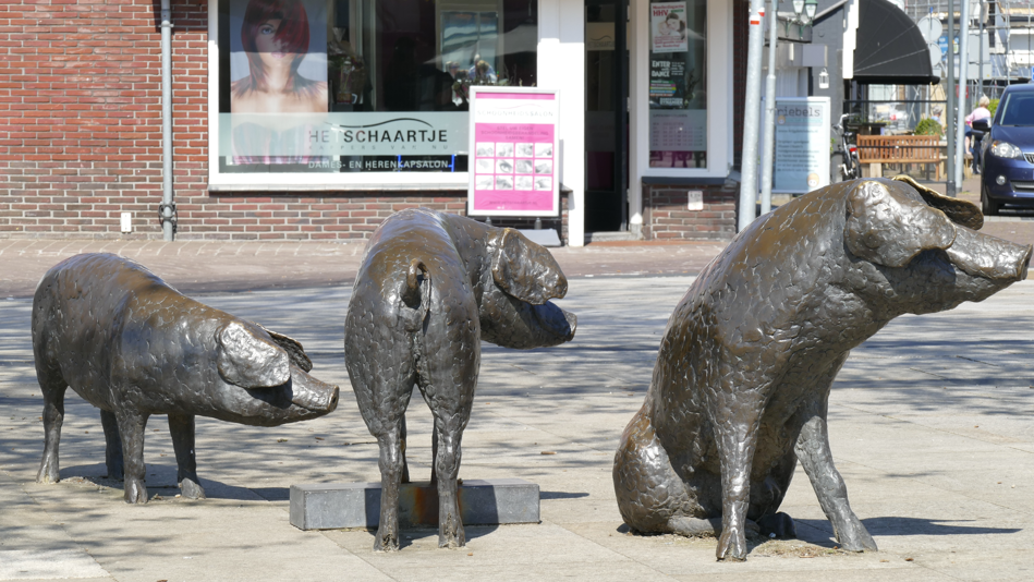 varkens marktplein Holten