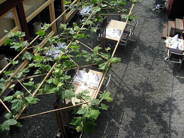 Terrastafels en -stoelen naast een houten pergola met groene klimplanten op een schaduwrijk grindpad.
