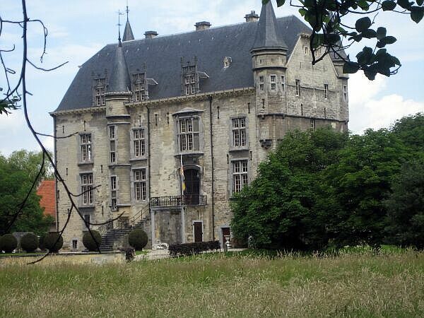 Stenen kasteel met torens en een leien dak, gedeeltelijk verscholen achter bomen naast een grasveld.