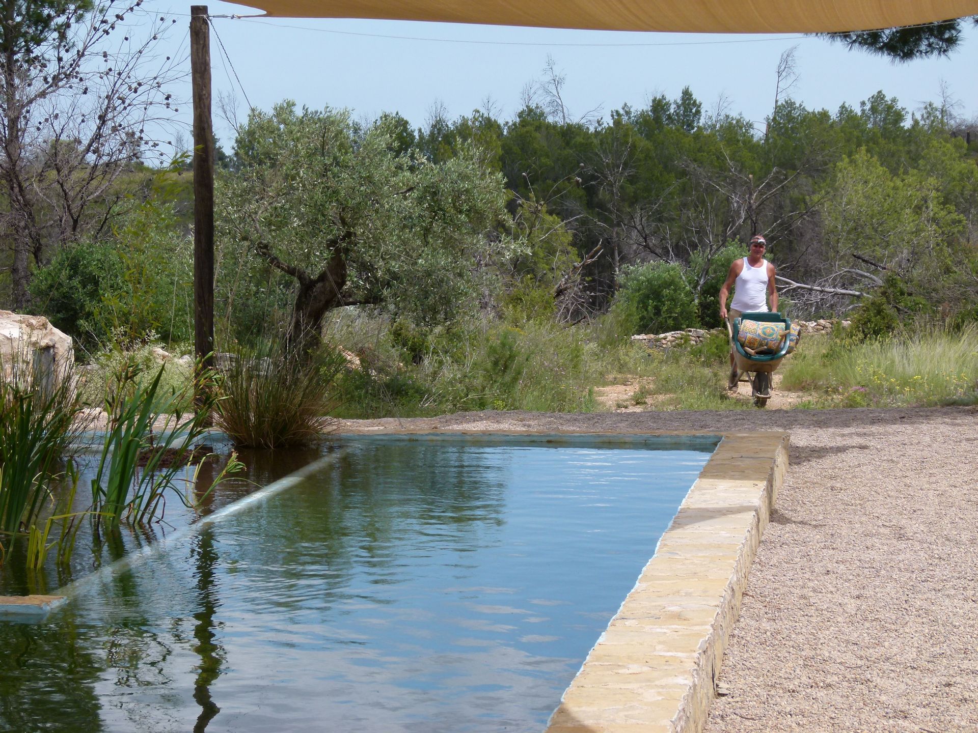 Een man duwt een kruiwagen bij een rechthoekig zwembad in een natuurlijke buitenomgeving, met bomen op de achtergrond.