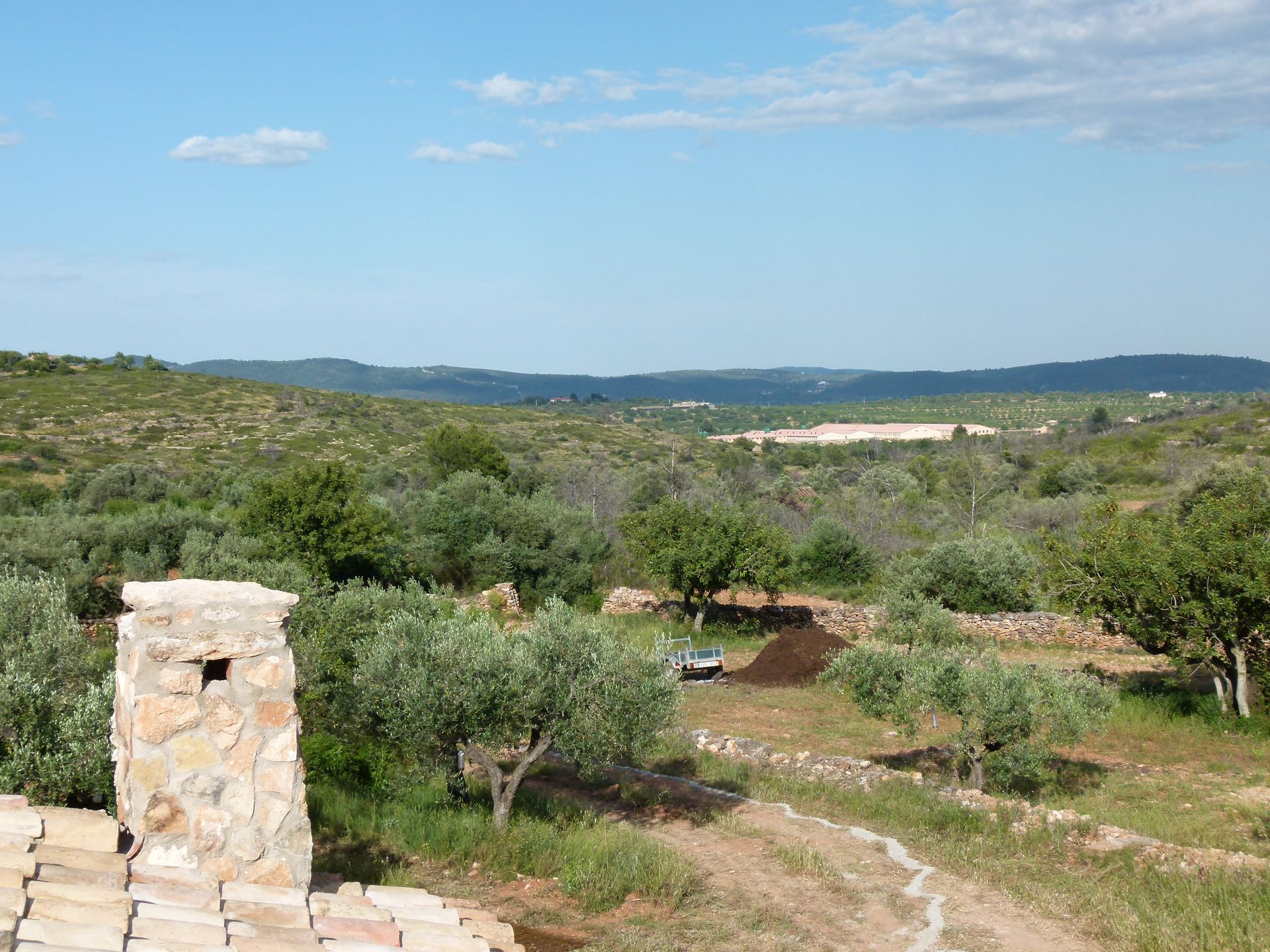 Een stenen schoorsteen op een dak met uitzicht op een heuvelachtig, groen landschap met olijfbomen onder een blauwe hemel.
