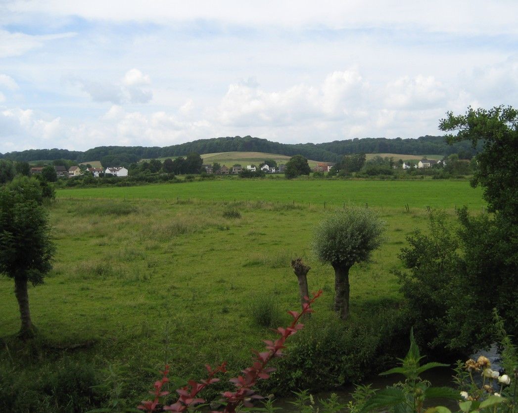 Groen veld met bomen en huizen in de verte onder een bewolkte hemel.