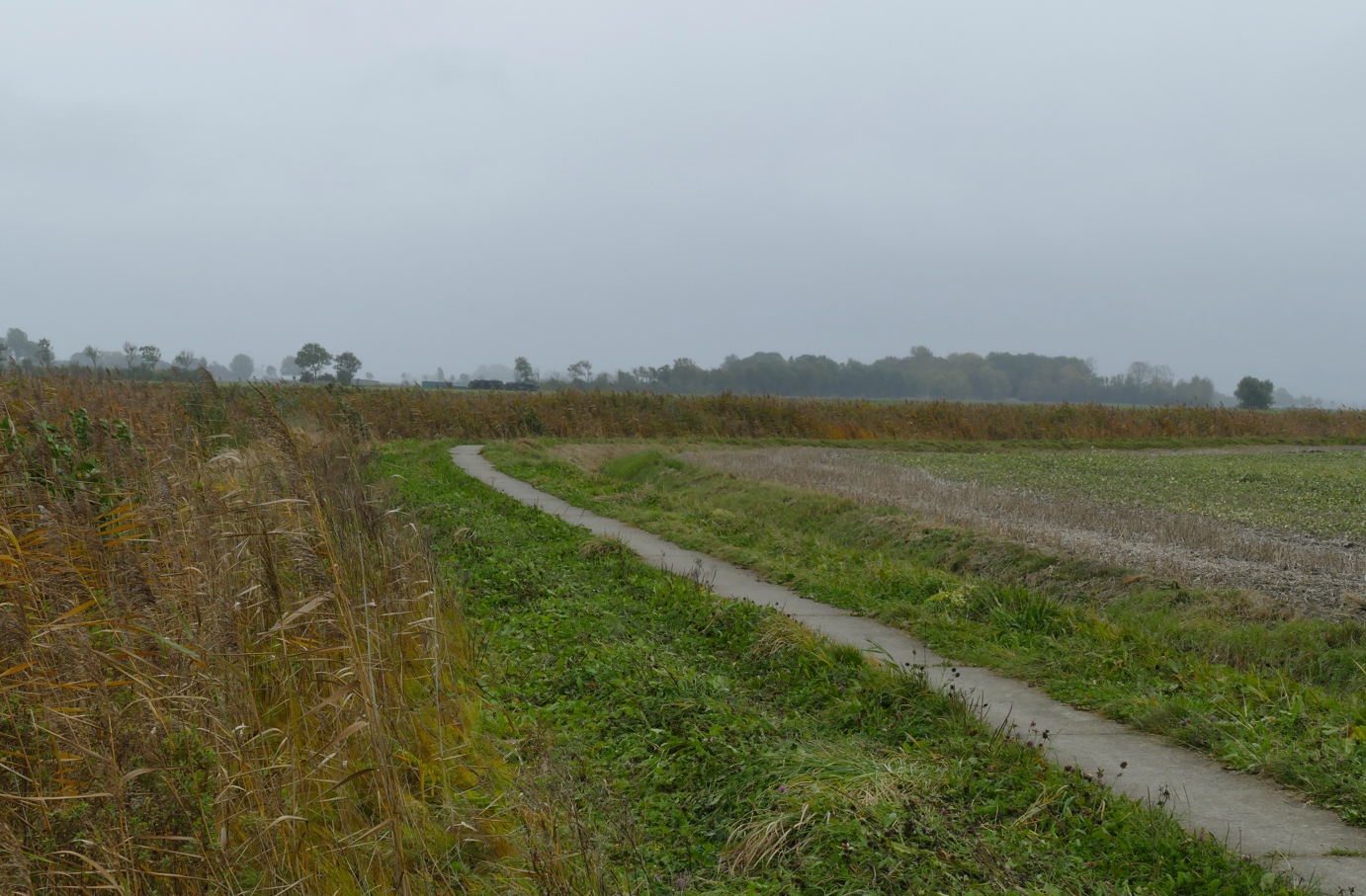 Een zandpad loopt door velden onder een grijze, bewolkte hemel.