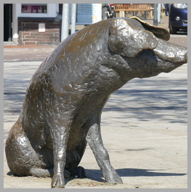 Beeld varken op marktplein Holten