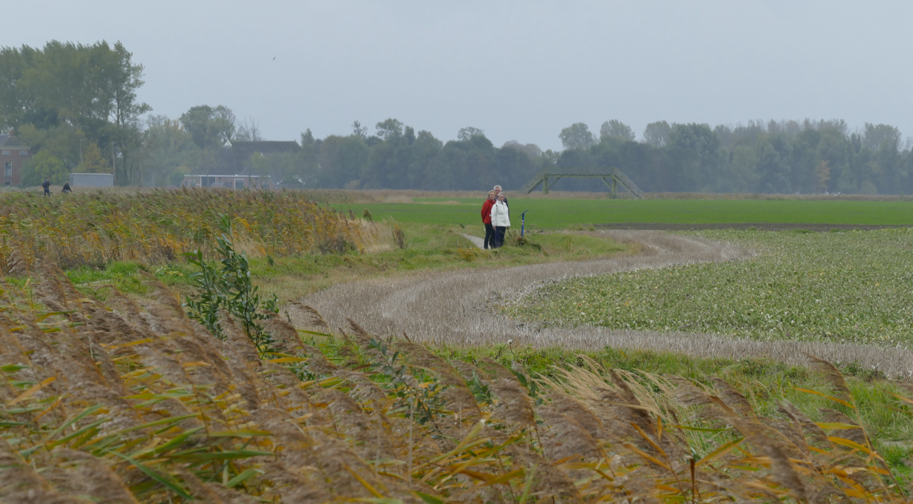 Twee mensen lopen over een zandpad in een veld; bewolkte lucht.