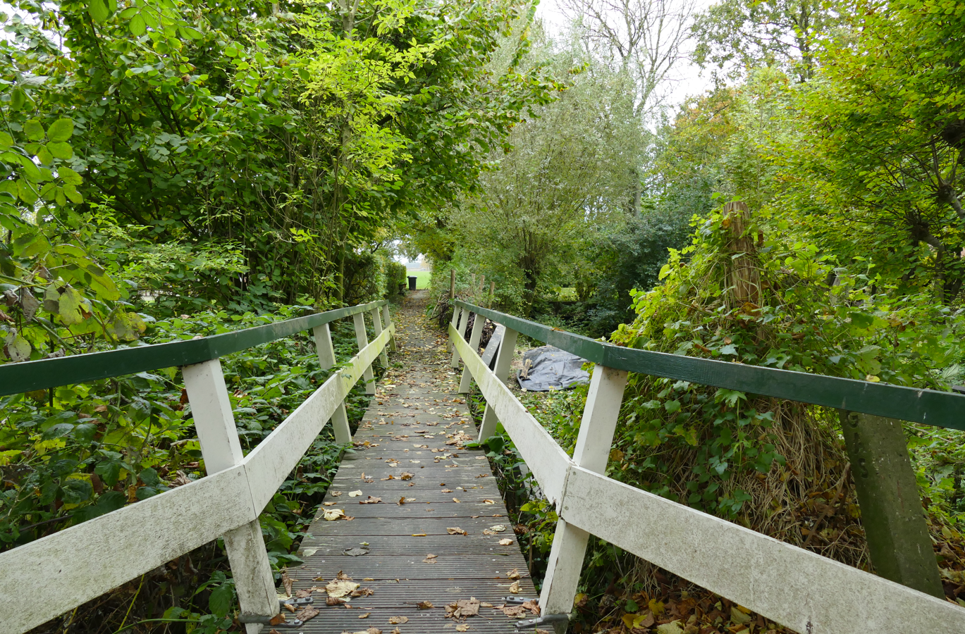 Houten brug over het water, omgeven door groene bomen en gebladerte.