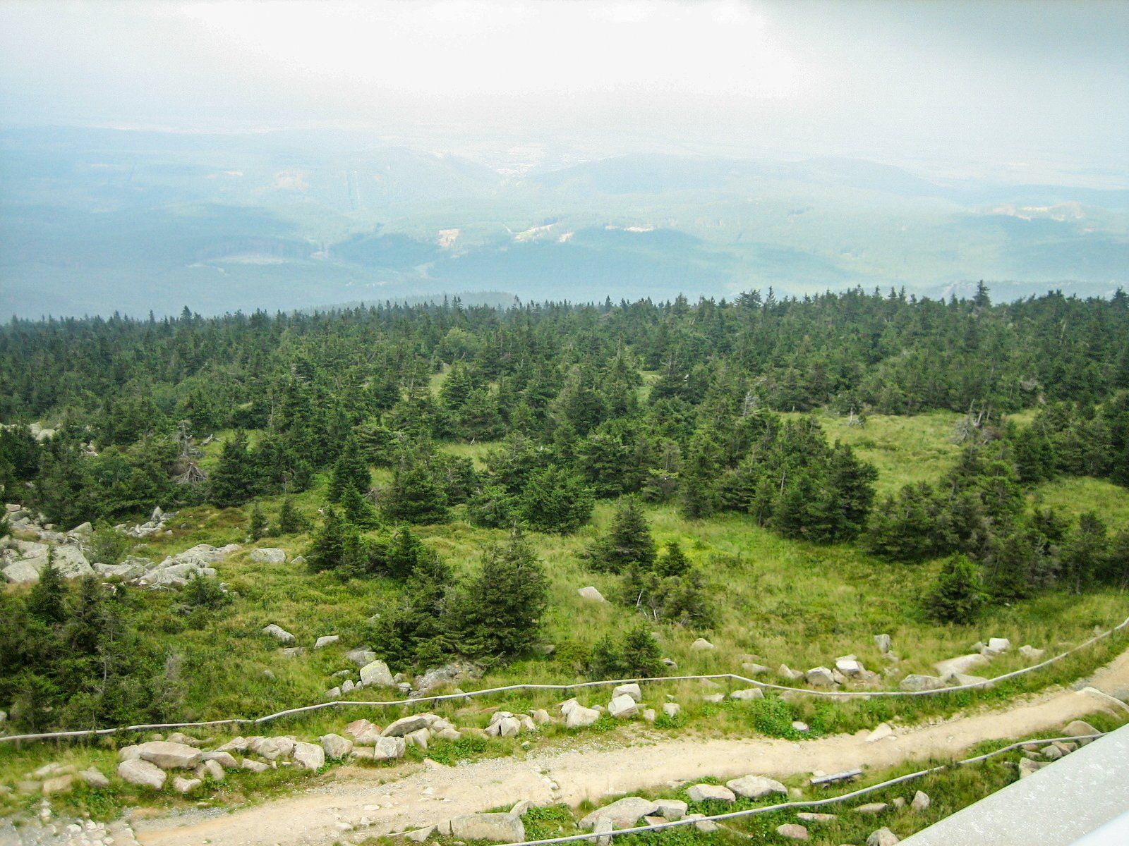 Blick vom Gipfel des Brockens auf grüne Wälder