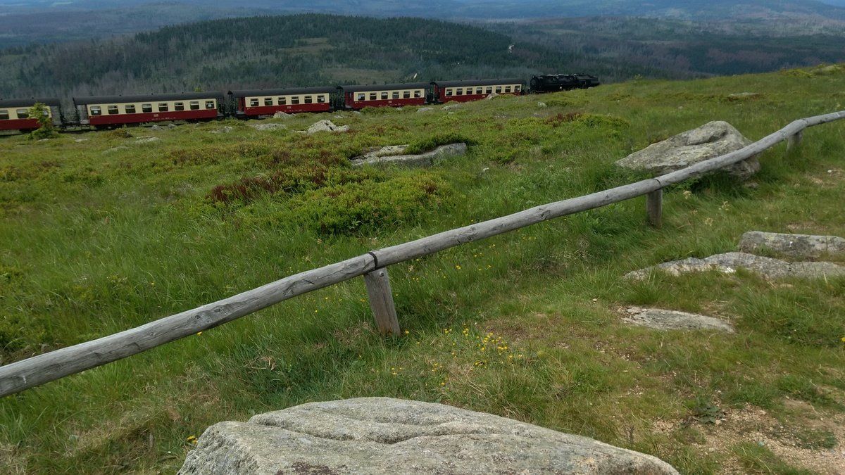 Blick vom Brocken-Rundweg auf die Brockenbahn