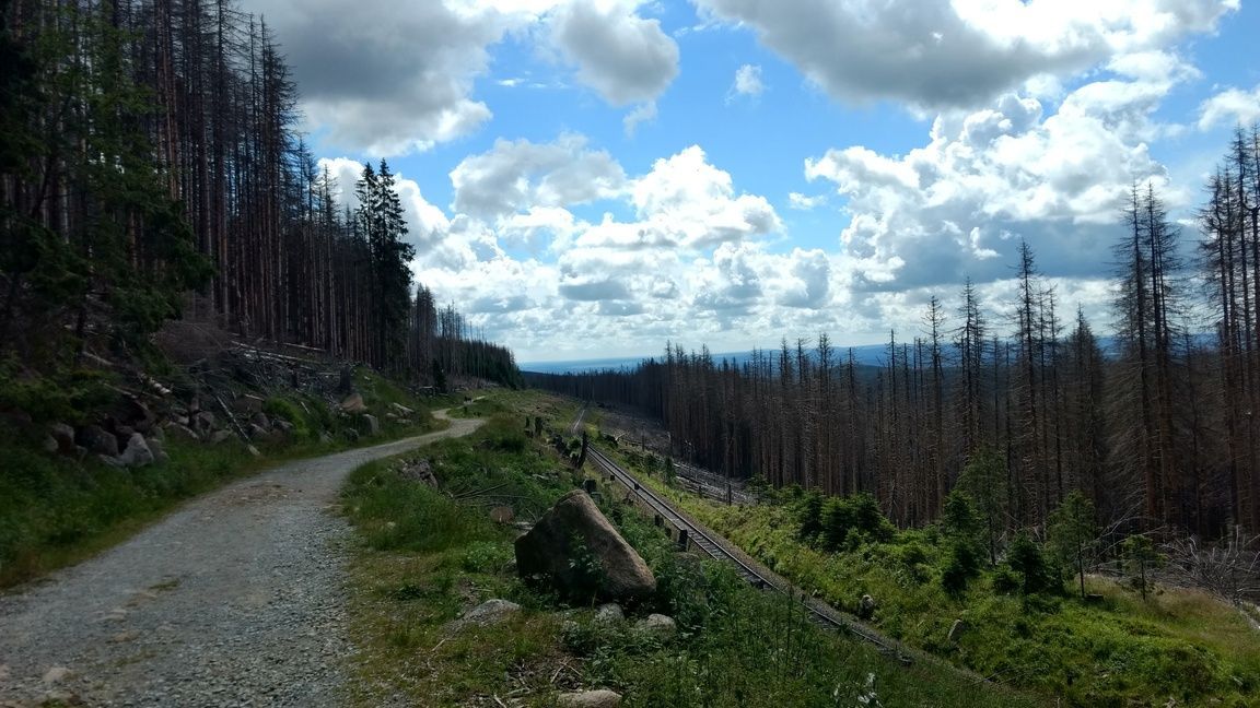 Bahnparallelweg, der vom Bahnhof Schiekre zum Eckerloch führt