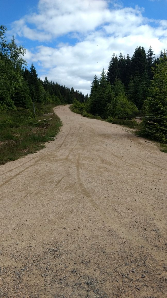 Vom Dreieckigen Pfahl Richtung Kolonnenweg.