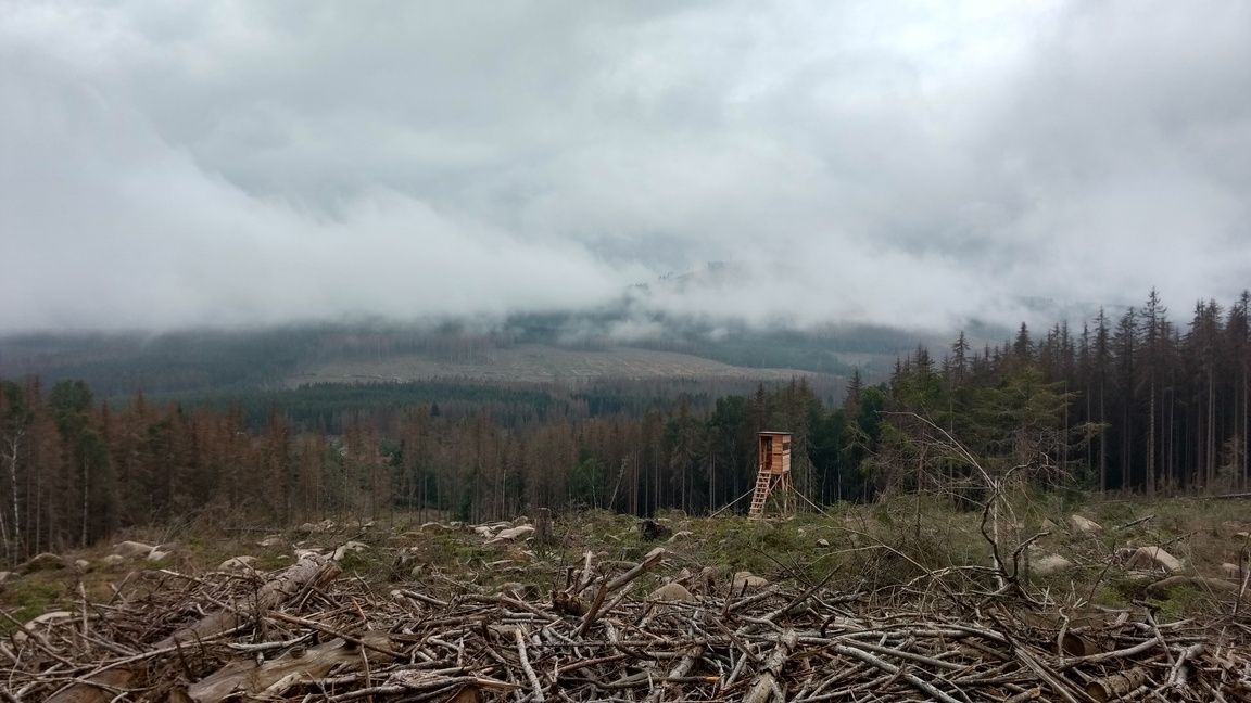 Blick vom Brocken mit eingeschränkter Sicht durch Nebelfelder