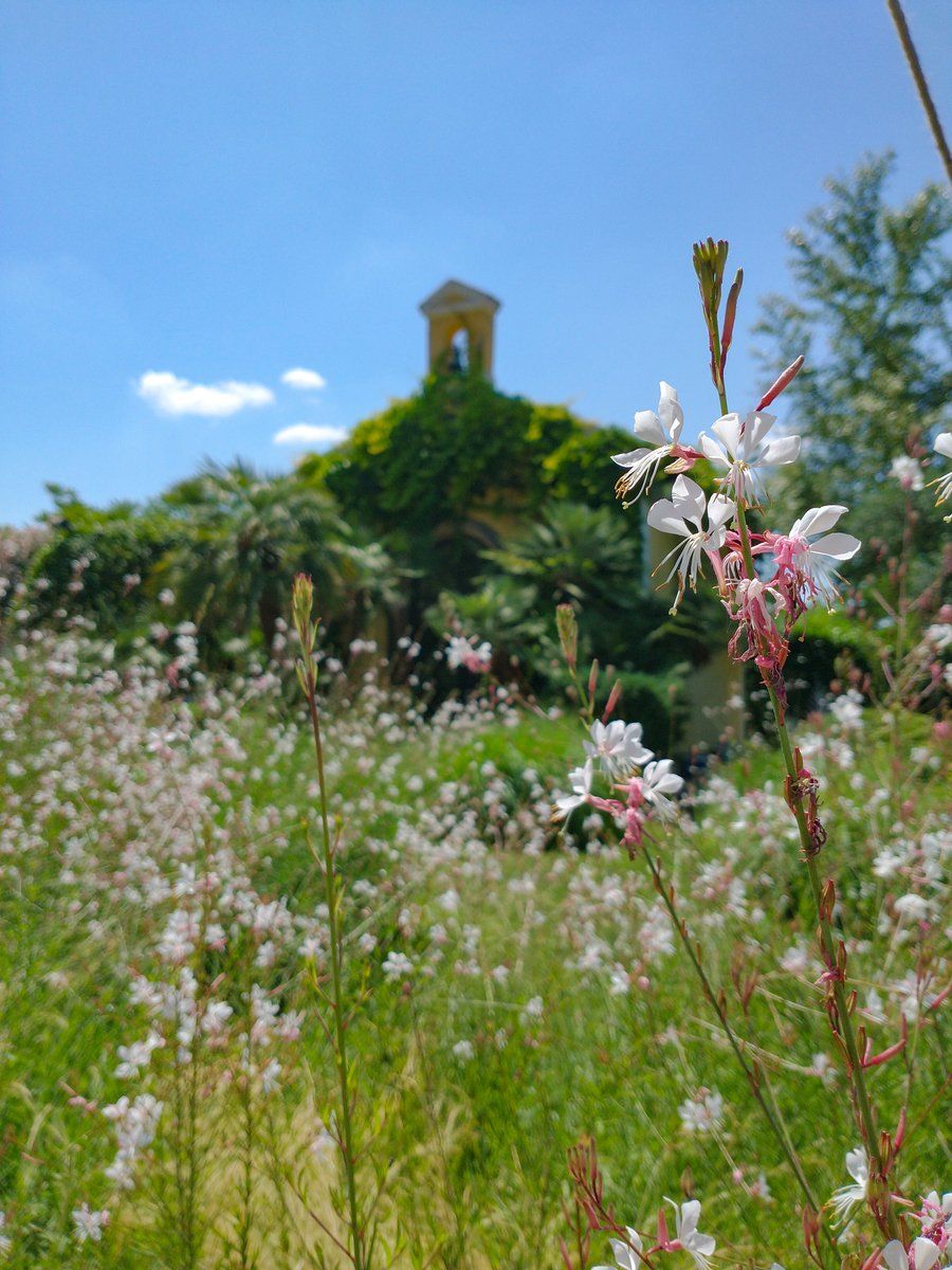Das Castello di Serragiumenta ist umgeben von herrllicher Natur!
