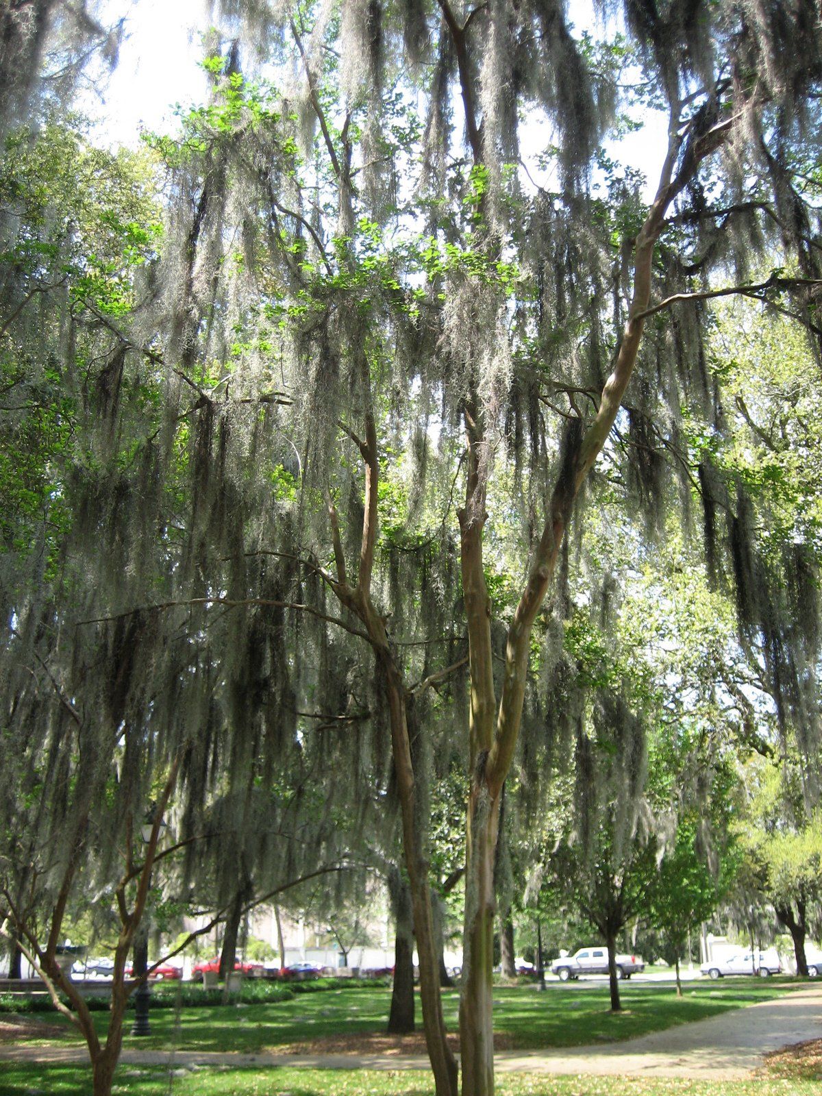 Savannah, Georgia, USA
