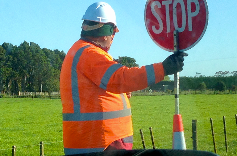 A man is holding a stop sign in a field