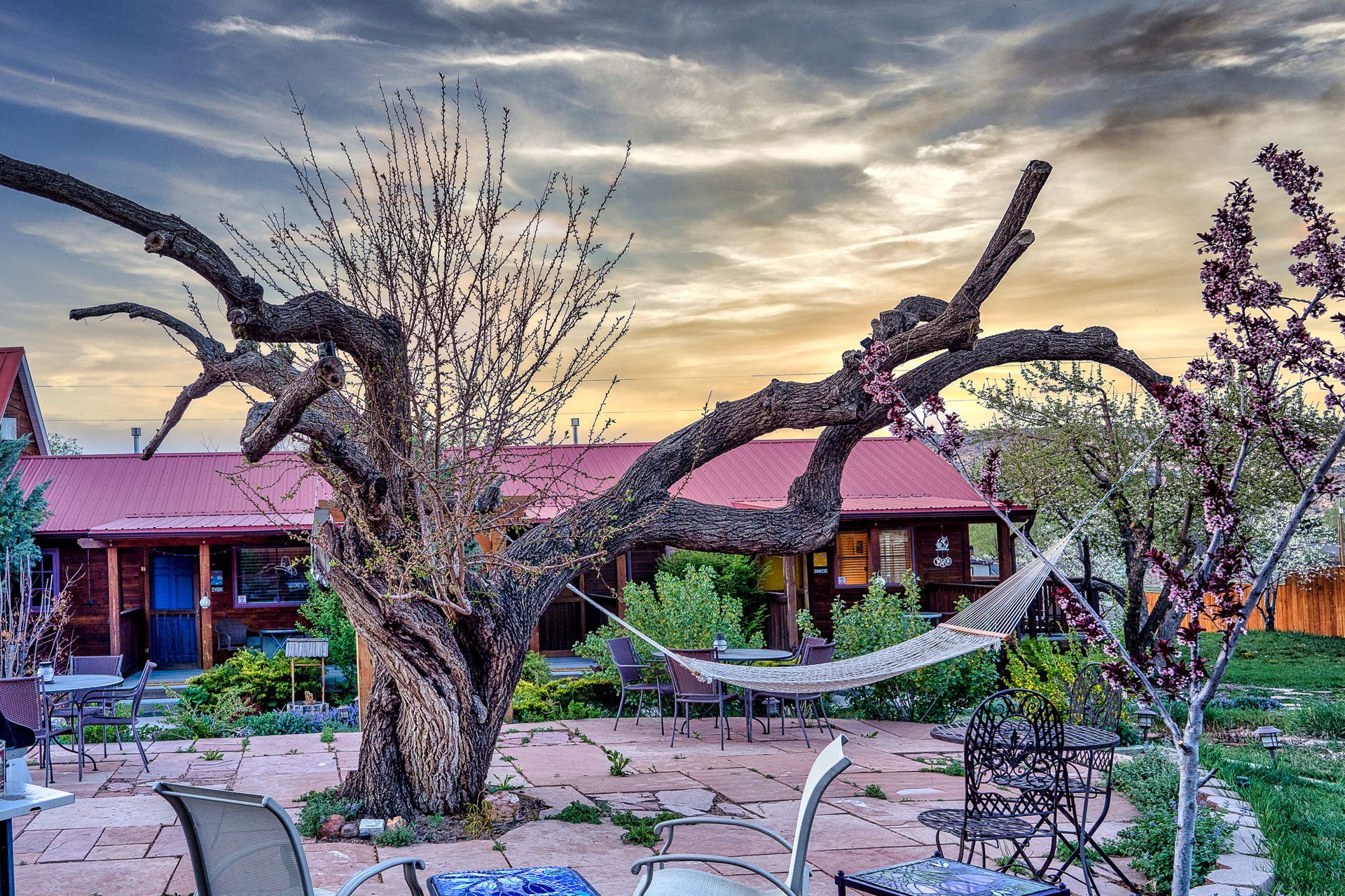A tree with a hammock hanging from it in front of a house.