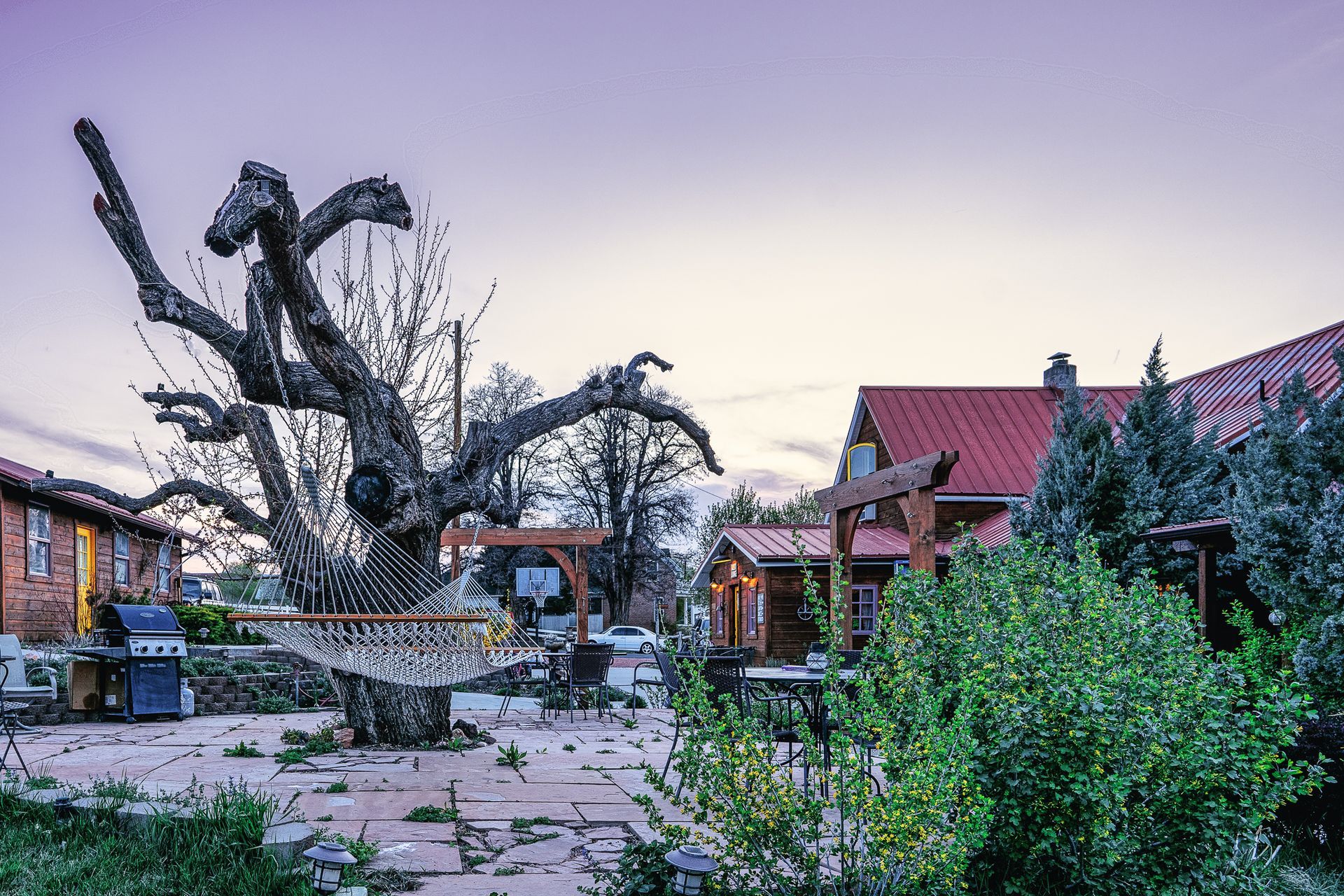 There is a large tree in the middle of a yard with a house in the background.