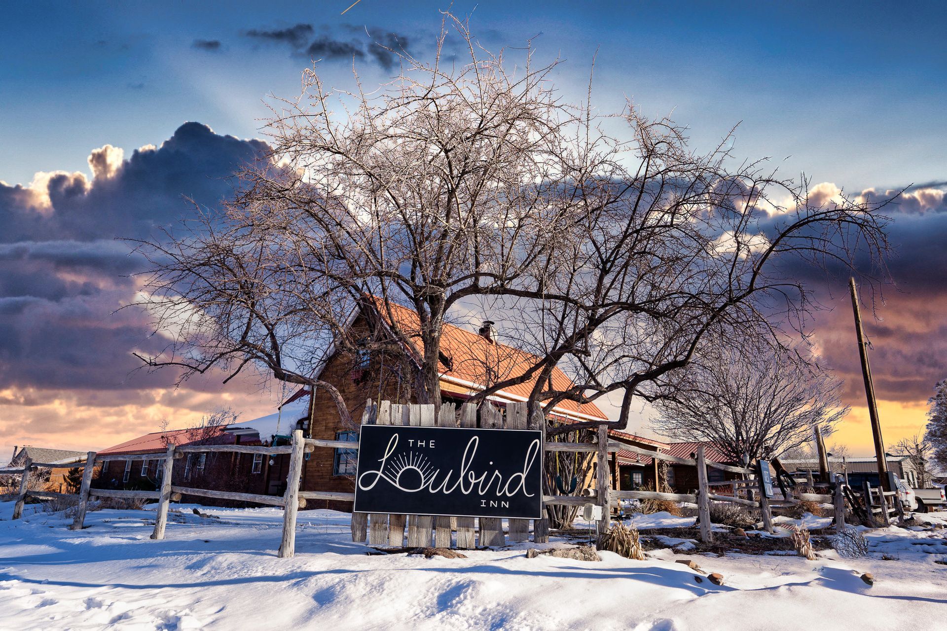 A snowy field with a sign in the foreground that says loubird