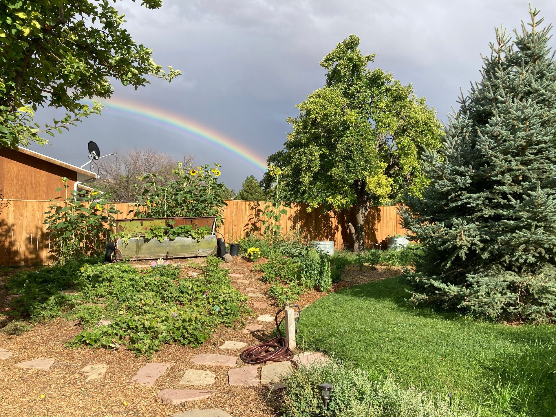 There is a rainbow in the sky over a garden.