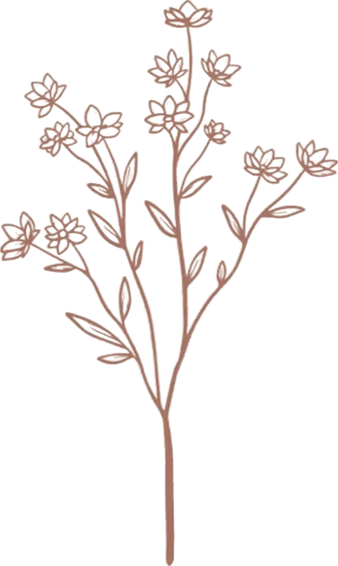 A drawing of a plant with flowers and leaves on a white background.