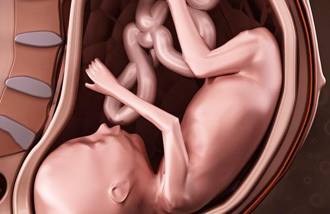 UNIDAD GINECOLÓGICA Y OBSTÉTRICA