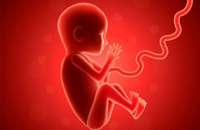 UNIDAD GINECOLÓGICA Y OBSTÉTRICA