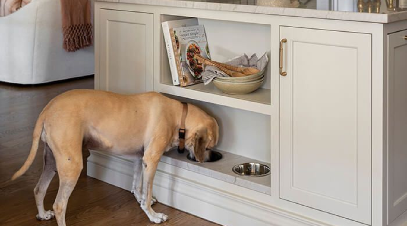 Pet food and water station within a kitchen design