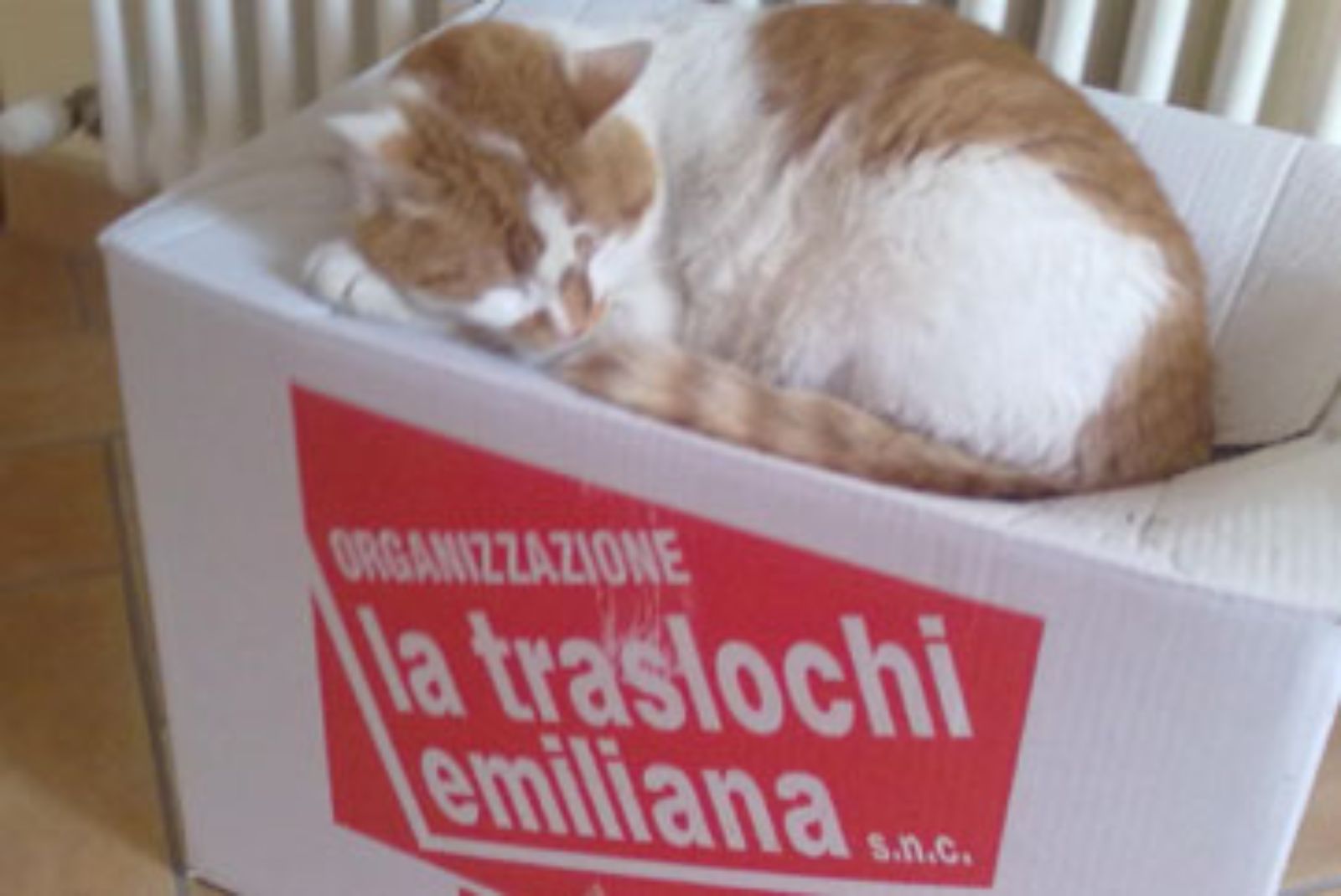 Scatola fornita dall'azienda