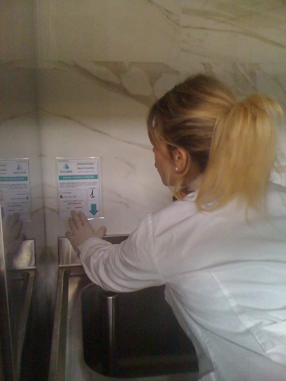 intervento di disinfestazione da insetti