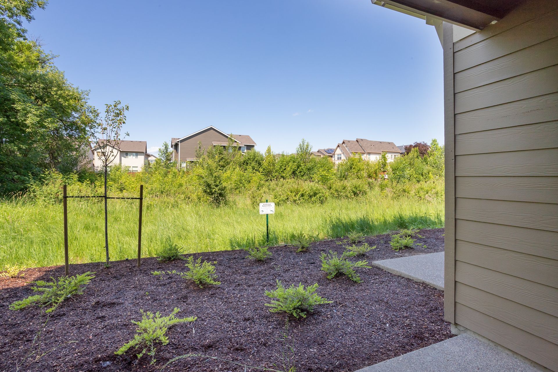 The backyard of a house with a fence and a lot of plants.