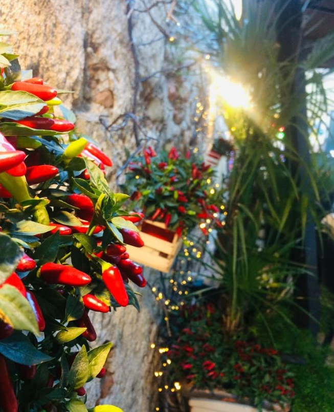 ristorante al paladino