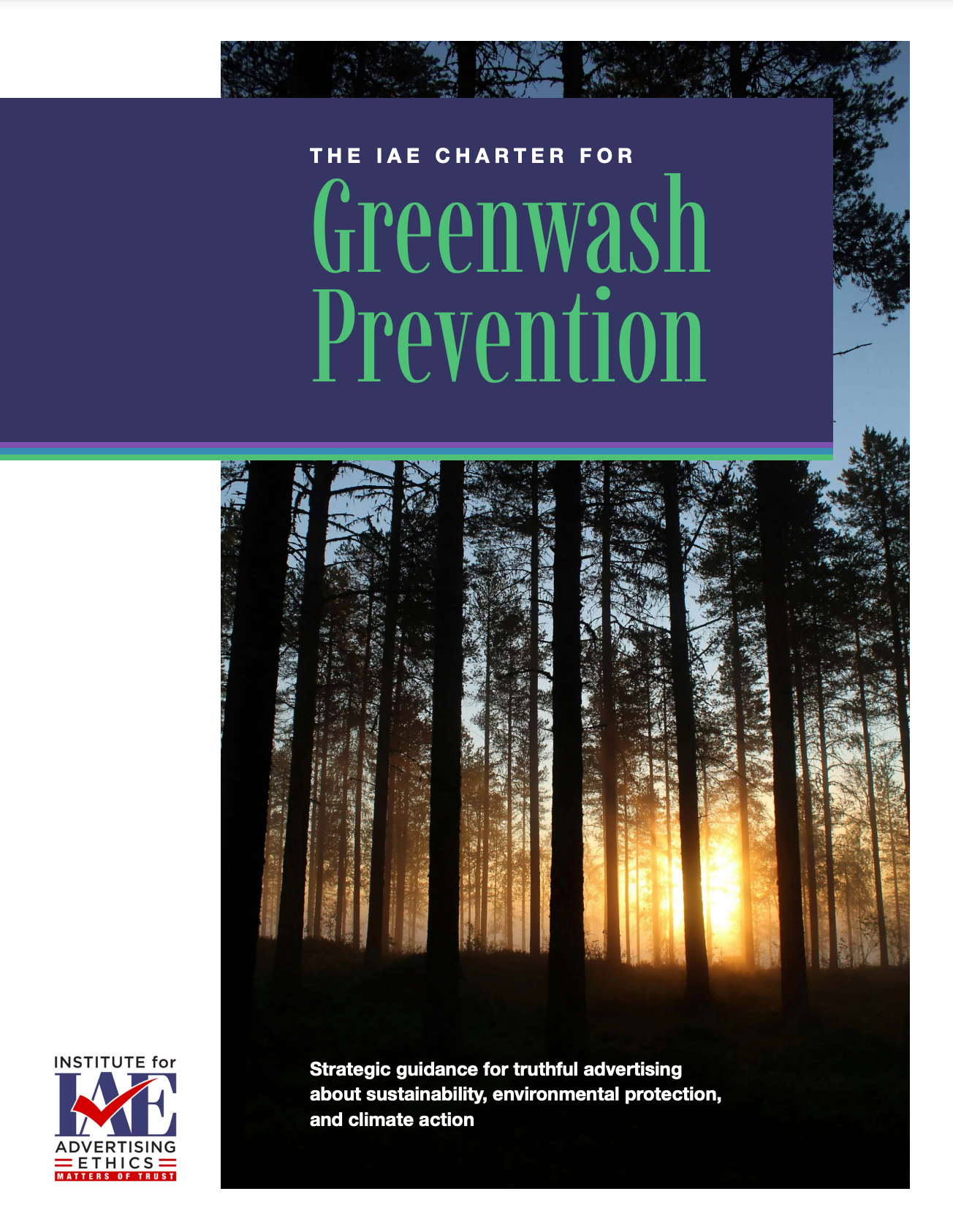 The cover of the IAE Charter for Greenwash Prevention.