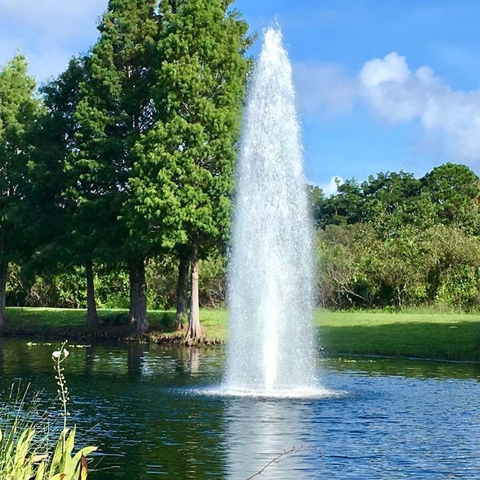 pond water feature fountain