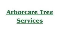 Arborist in Cairns