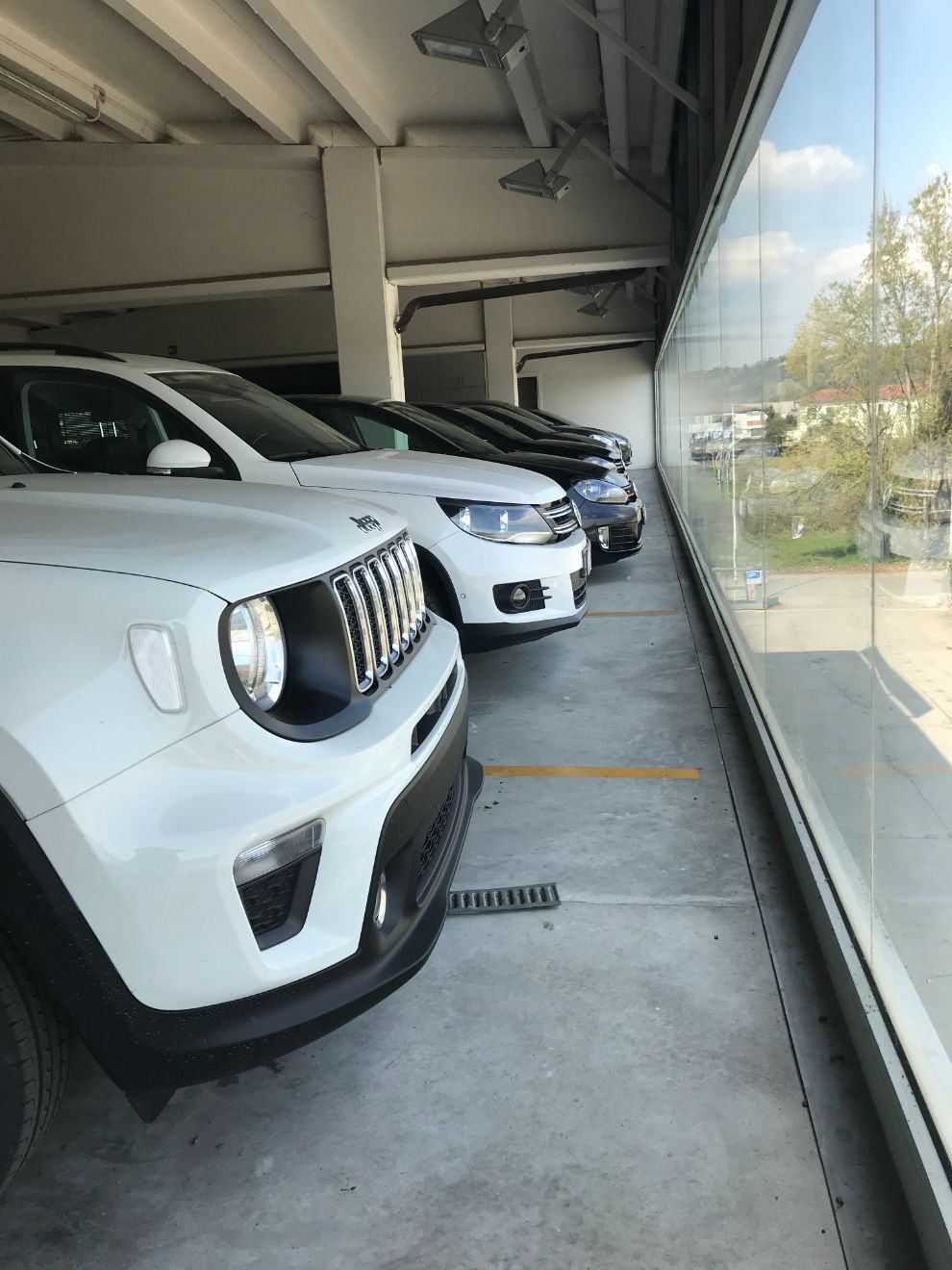 vendita auto nuove multibrand