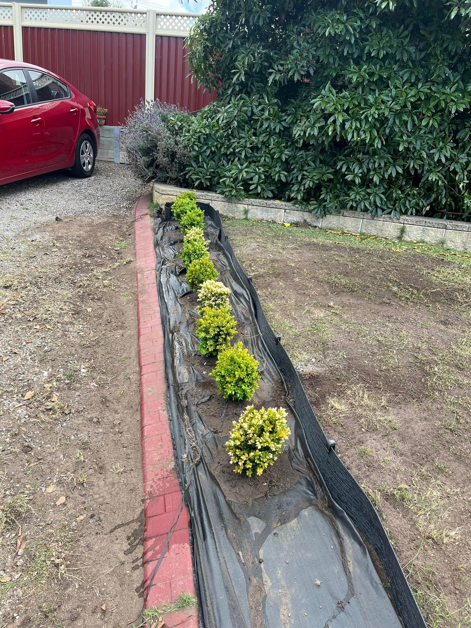 There Are Many Potted Plants in the Backyard of a House — RJT Lawn and Gardening in Drysdale, VIC