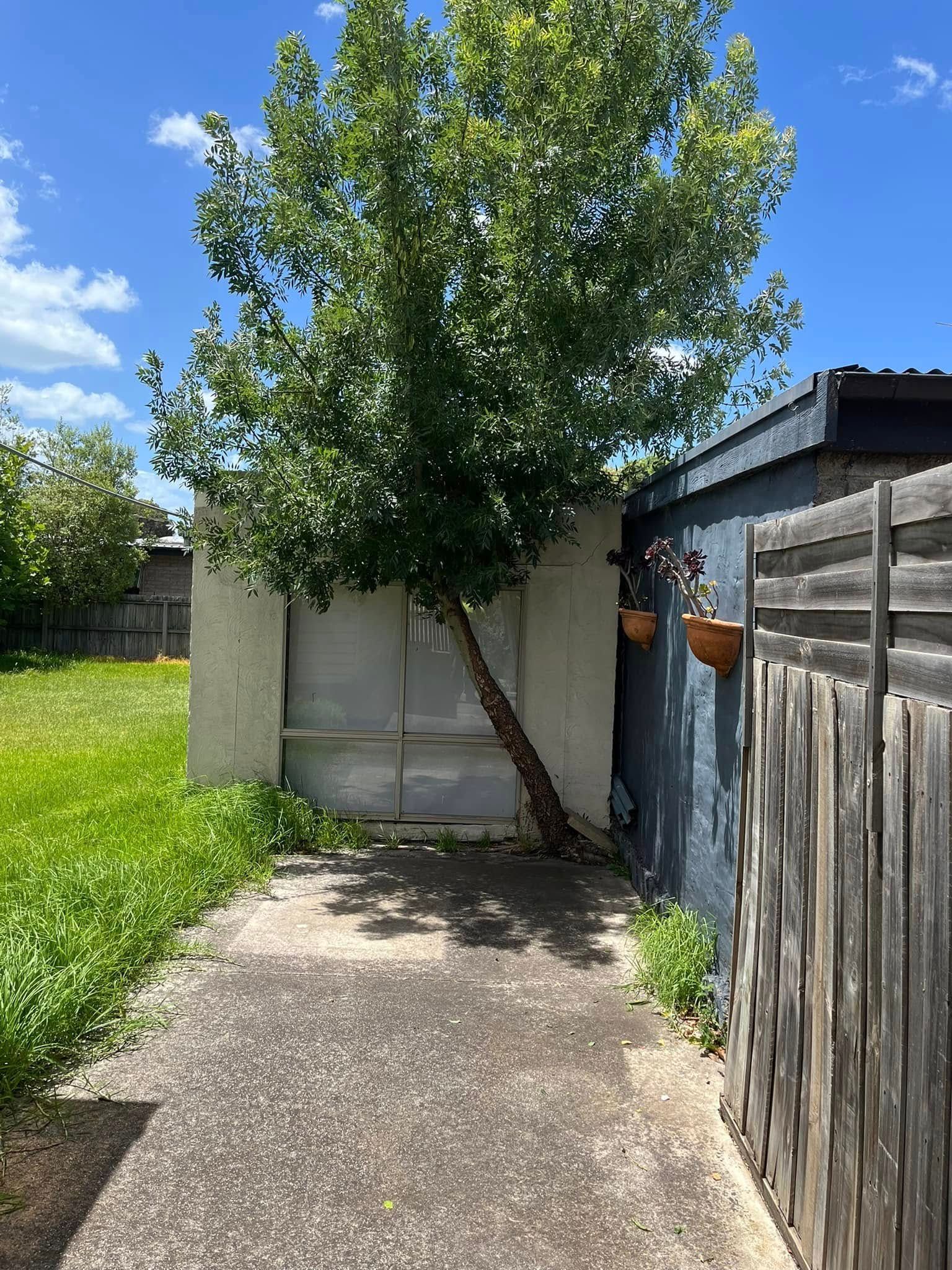 A Tidy Garage And Lawn Area— RJT Lawn and Gardening in Drysdale, VIC