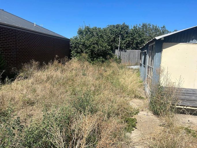 A Path Going Through a Lush Green Forest Surrounded by Trees — RJT Lawn and Gardening in Drysdale, VIC