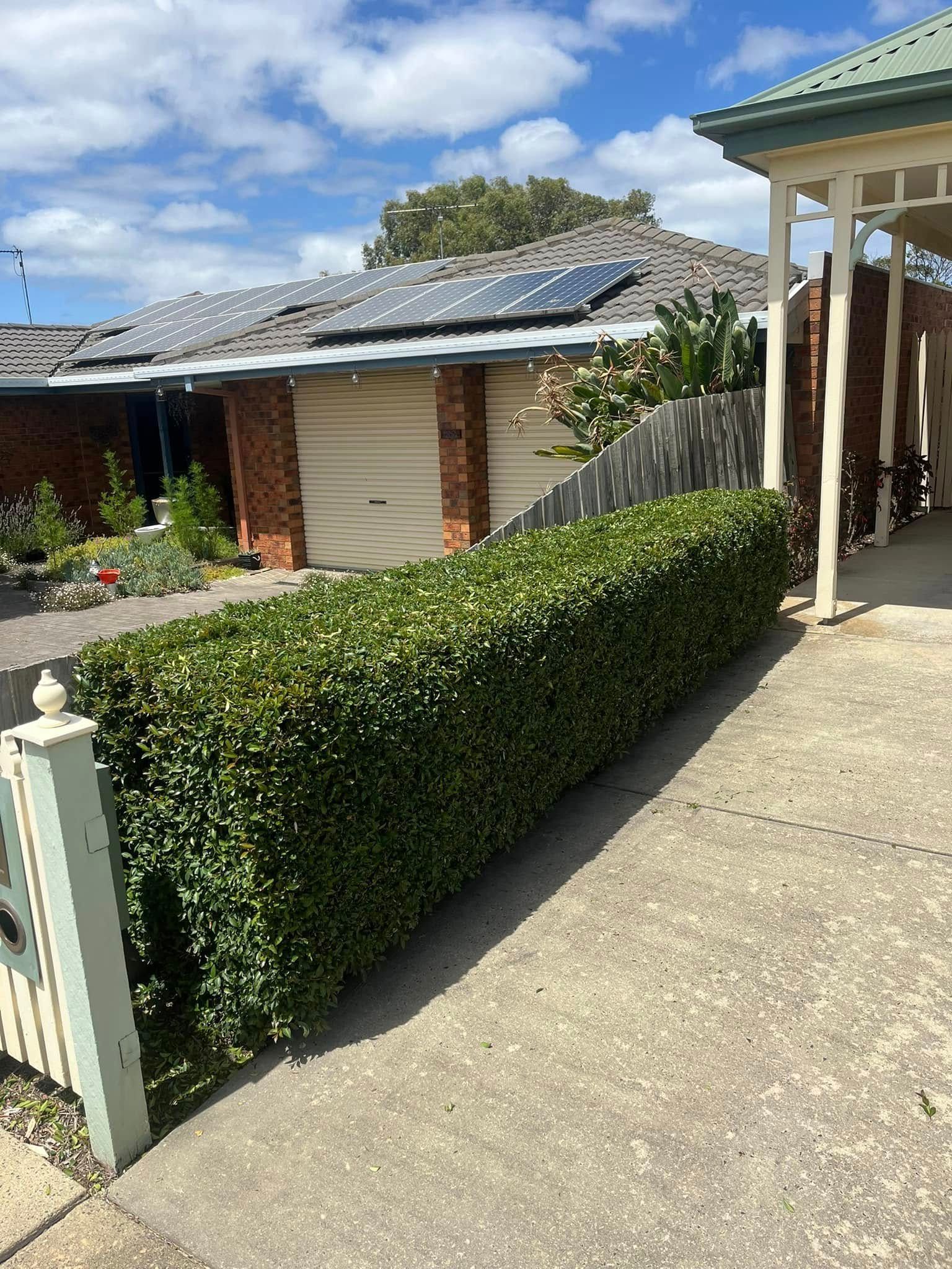 A Fence With a Lot of Trees on It in a Garden — RJT Lawn and Gardening in Drysdale, VIC