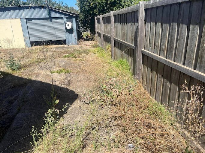 A Lush Green Field With a Red Shed in the Background — RJT Lawn and Gardening in Drysdale, VIC