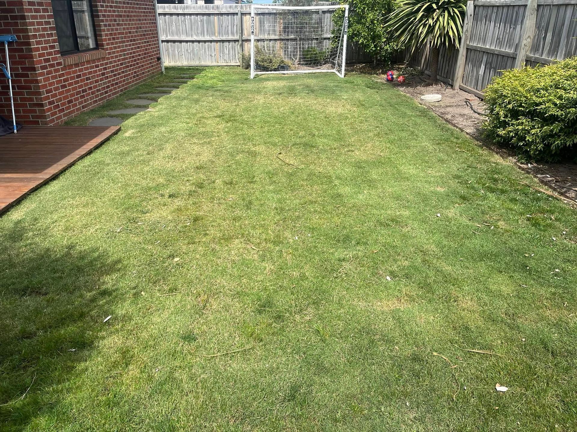 A Backyard With a Wooden Fence and a Shed — RJT Lawn and Gardening in Leopold, VIC