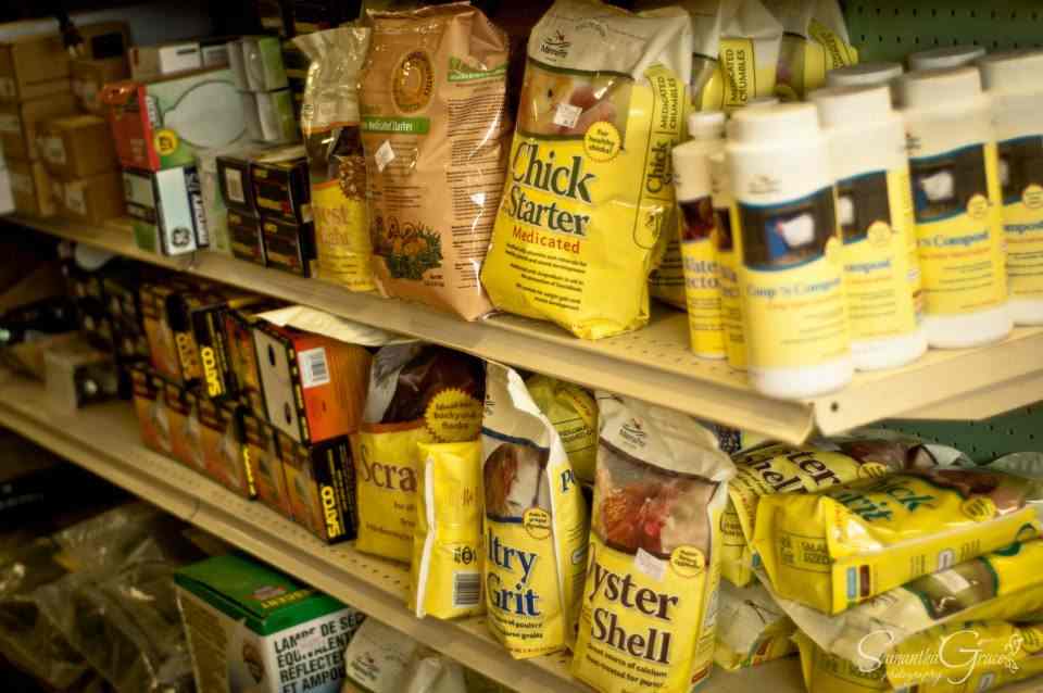 Cow Feed — Animals Feeds Supply in Union City, PA