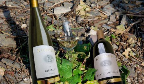 Unser Weinsortiment