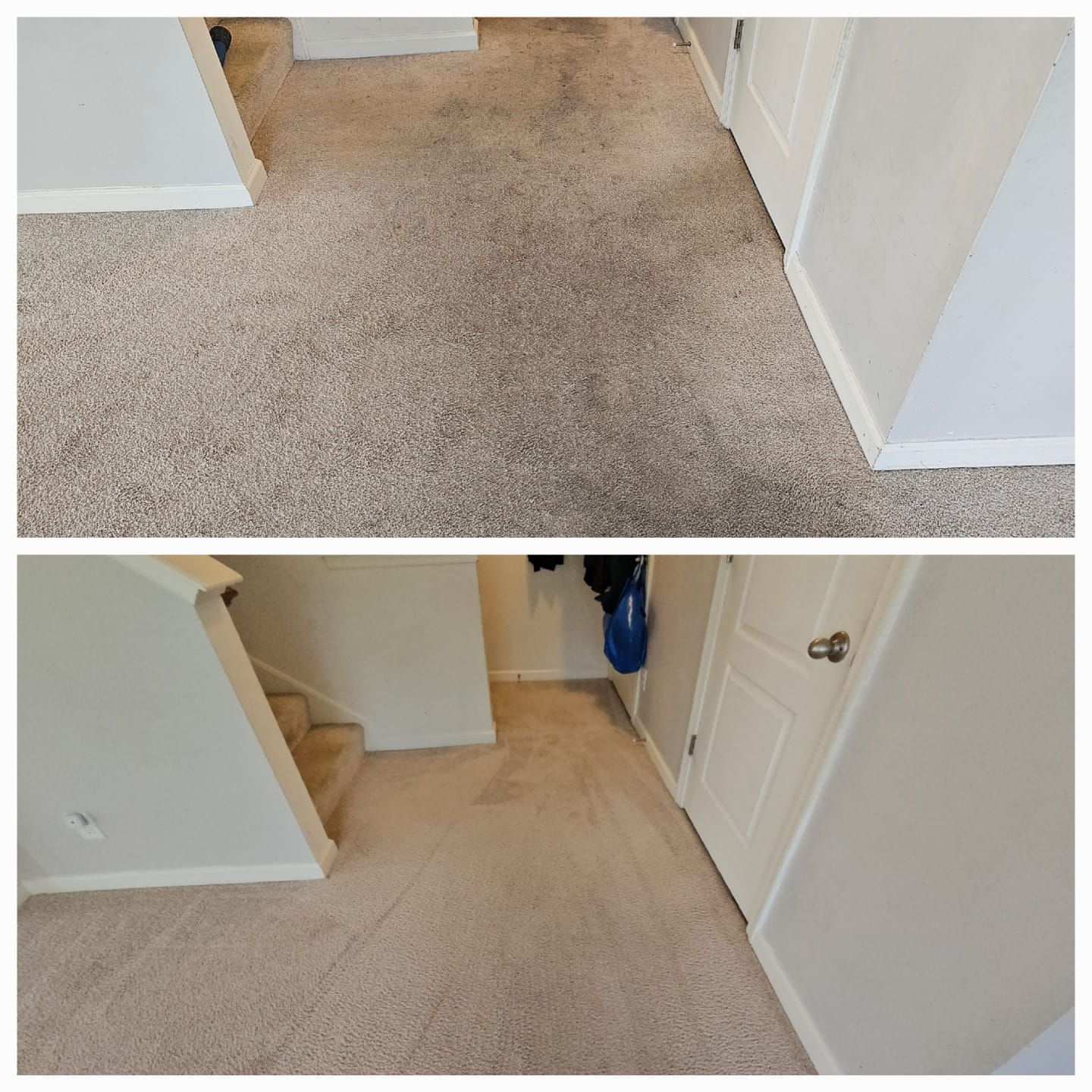 Carpet Cleaning in Woodbridge VA Neighborhood Carpet Cleaners