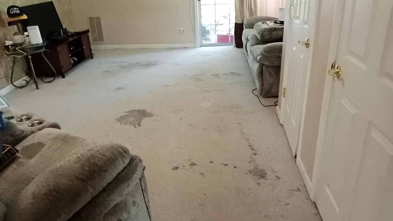 Carpet Cleaning in Woodbridge VA Neighborhood Carpet Cleaners