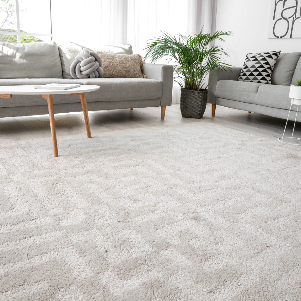 Carpet Cleaning Woodbridge VA Neighborhood Carpet Cleaners