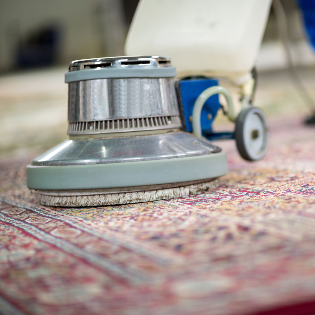 Carpet Cleaning in Woodbridge VA Neighborhood Carpet Cleaners
