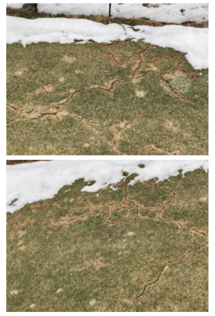 A before and after picture of a lawn with snow on it