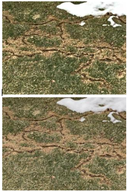 A before and after picture of a lawn with snow on it